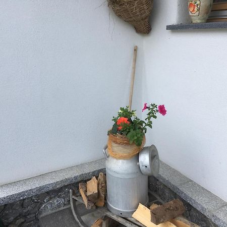 Chalets Aue Hart im Zillertal Exteriör bild